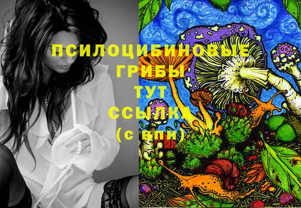 крисы Лагань