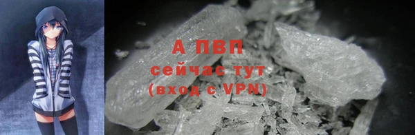 крисы Лагань
